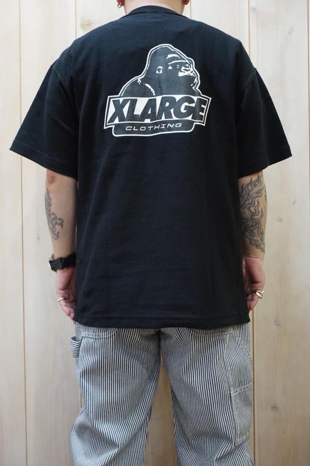 xl10122201101b-01.jpg