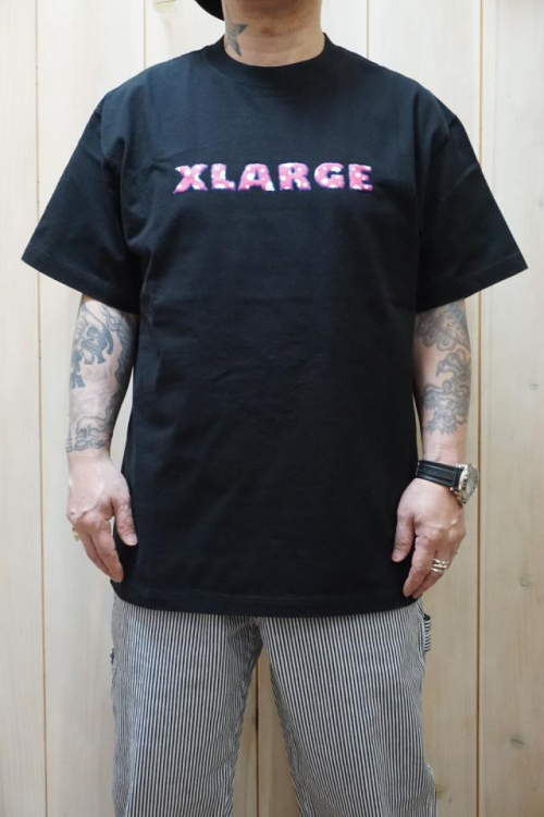 XLARGE エクストララージ 101222011011 WONDER LAND S/S TEE XLARGE ショートスリーブTシャツ BLACK 正規通販 メンズ レディース